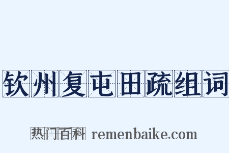 钦州复屯田疏组词是什么意思的图片